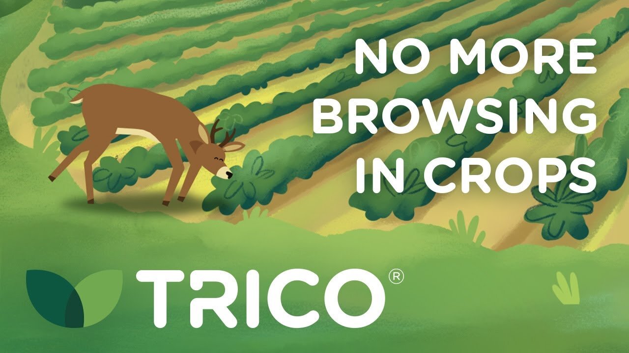 Explore More: TRICO&lt;sup&gt;®&lt;/sup&gt; Deer Repellent Solutions