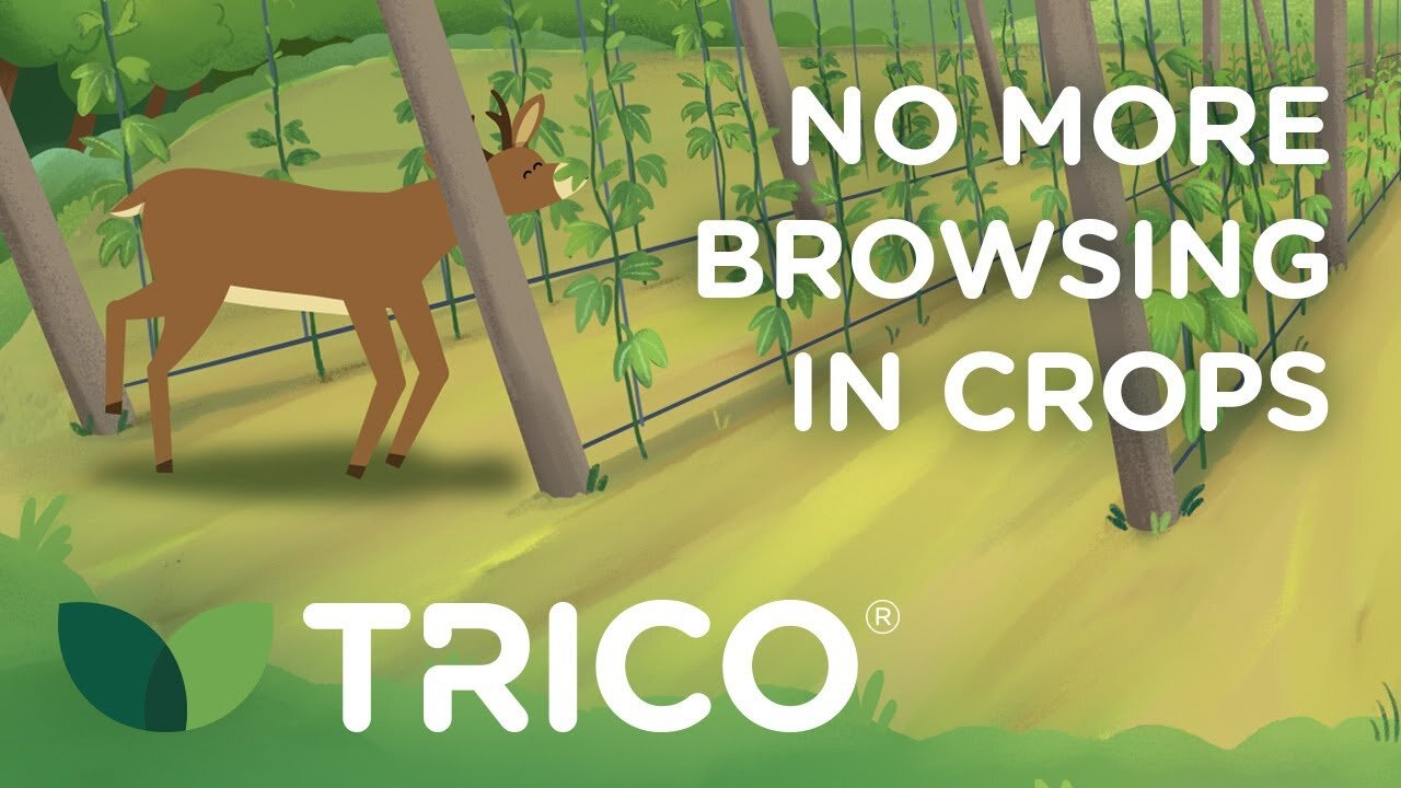 Explore More: TRICO&lt;sup&gt;®&lt;/sup&gt; Deer Repellent Solutions