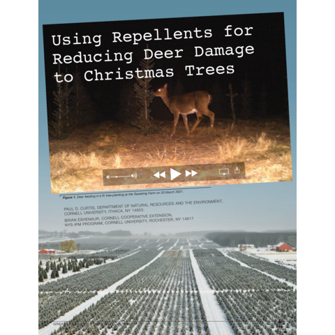 TRICO<sup>®</sup> Christmas Tree Article