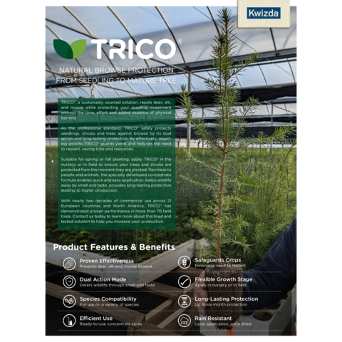 Flyer Nursery Tree Market